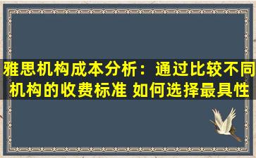 雅思机构成本分析：通过比较不同机构的收费标准 如何选择最具性价比的培训方案？